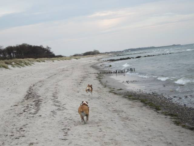 Photo of Others in Fehmarn