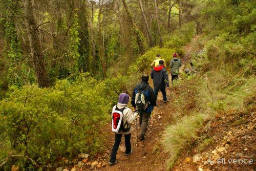 Photo of Others in Bogarra