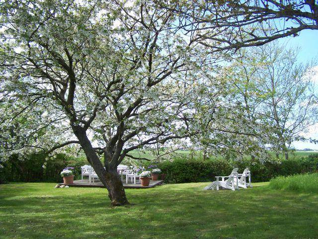 Photo of Outdoor in Westerhever