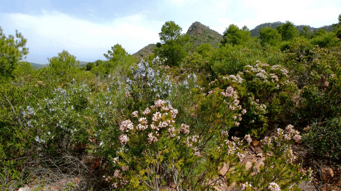 Photo of Outdoor in Lliria