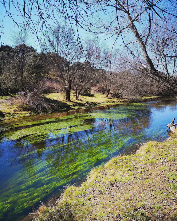 Photo of Outdoor in Villar de Corneja