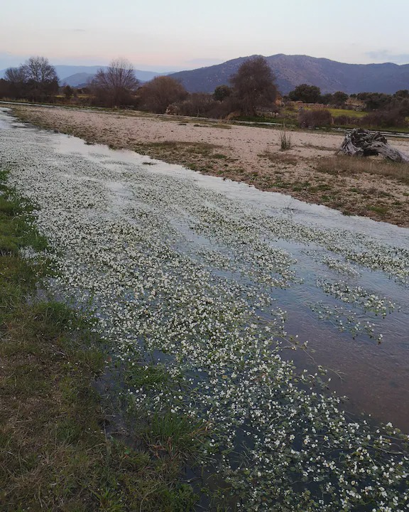 Photo of Outdoor in Villar de Corneja