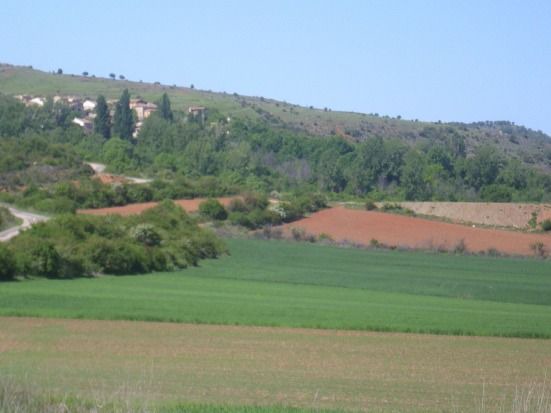 Photo of Outdoor in Carabias