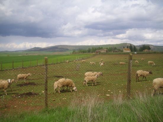 Photo of Others in Carabias