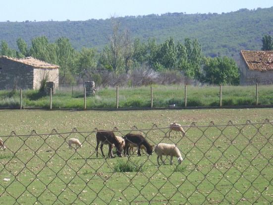 Photo of Outdoor in Carabias