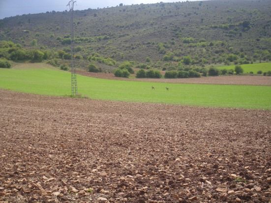 Photo of Outdoor in Carabias