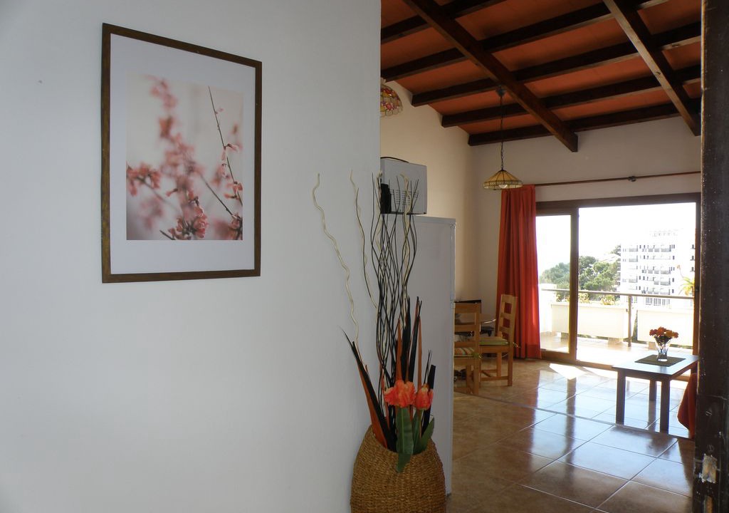 Photo of Livingroom in Cala Ferrera