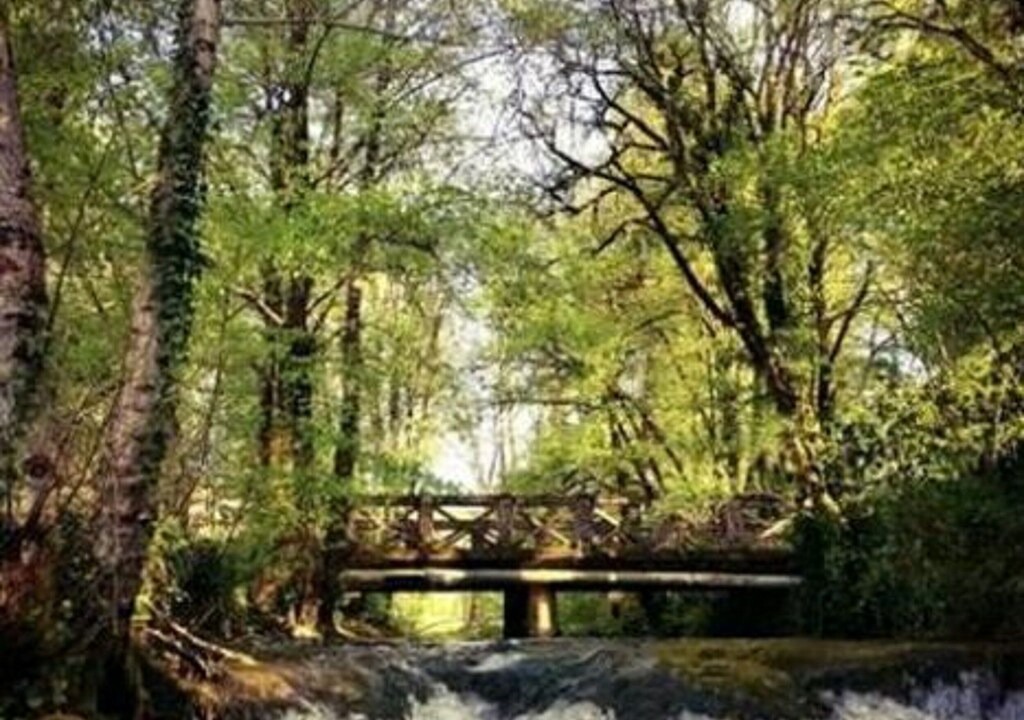 Photo of Outdoor in Terrasson-la-Villedieu