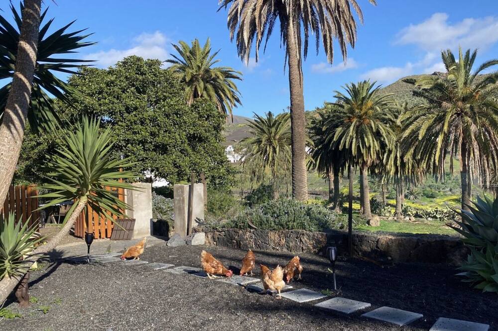 Photo of Outdoor in Haria
