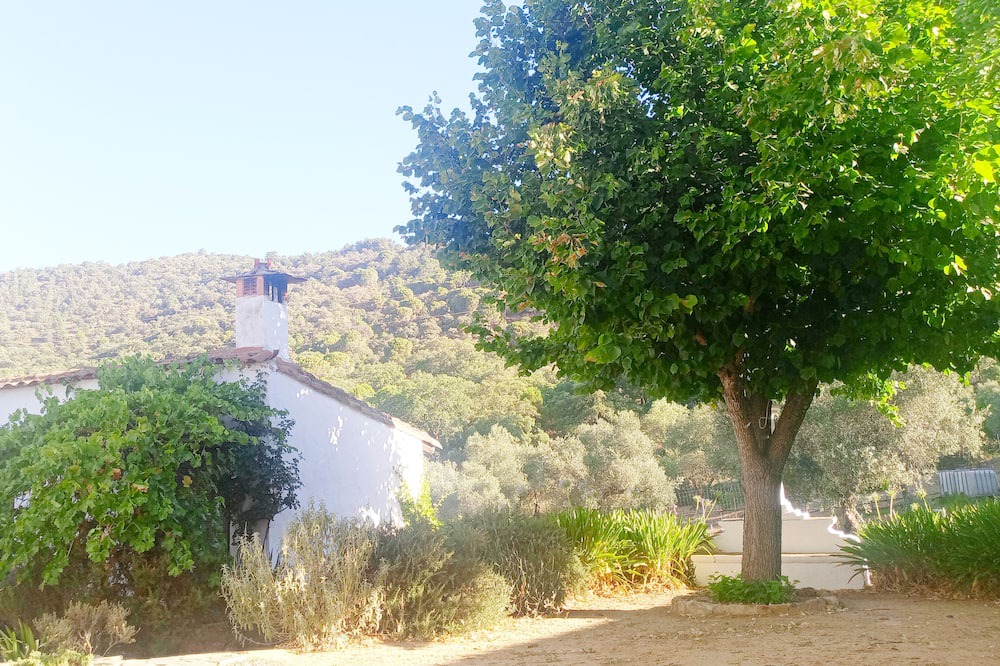 Photo of Others in Alajar