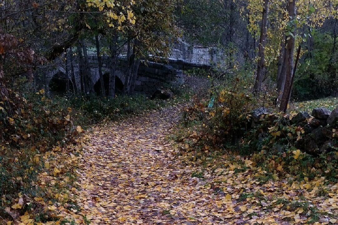 Photo of Outdoor in Navarrevisca