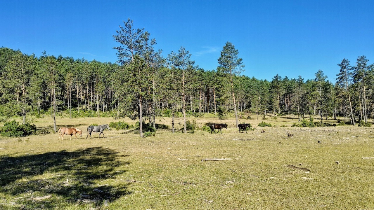 Photo of Outdoor in Tragacete