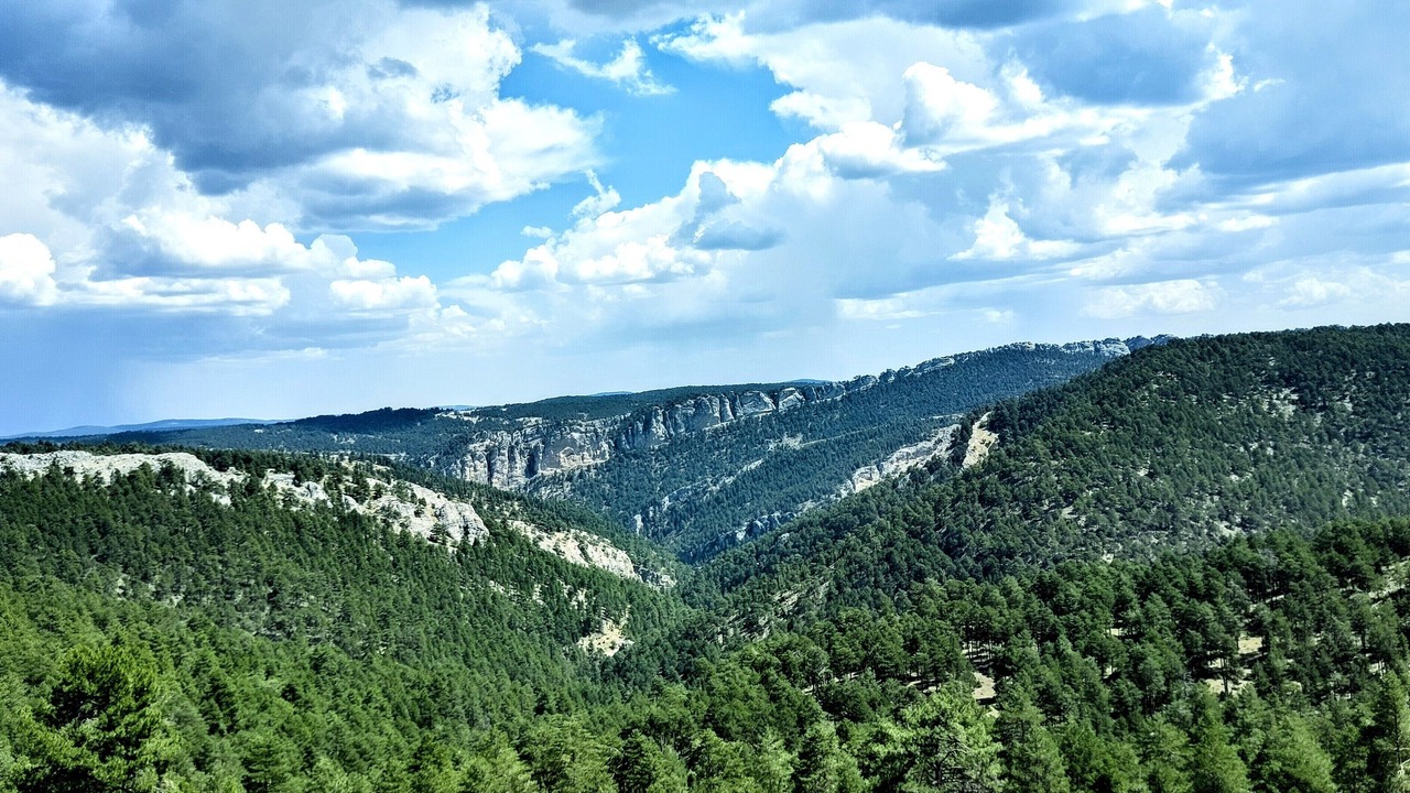 Photo of Others in Tragacete