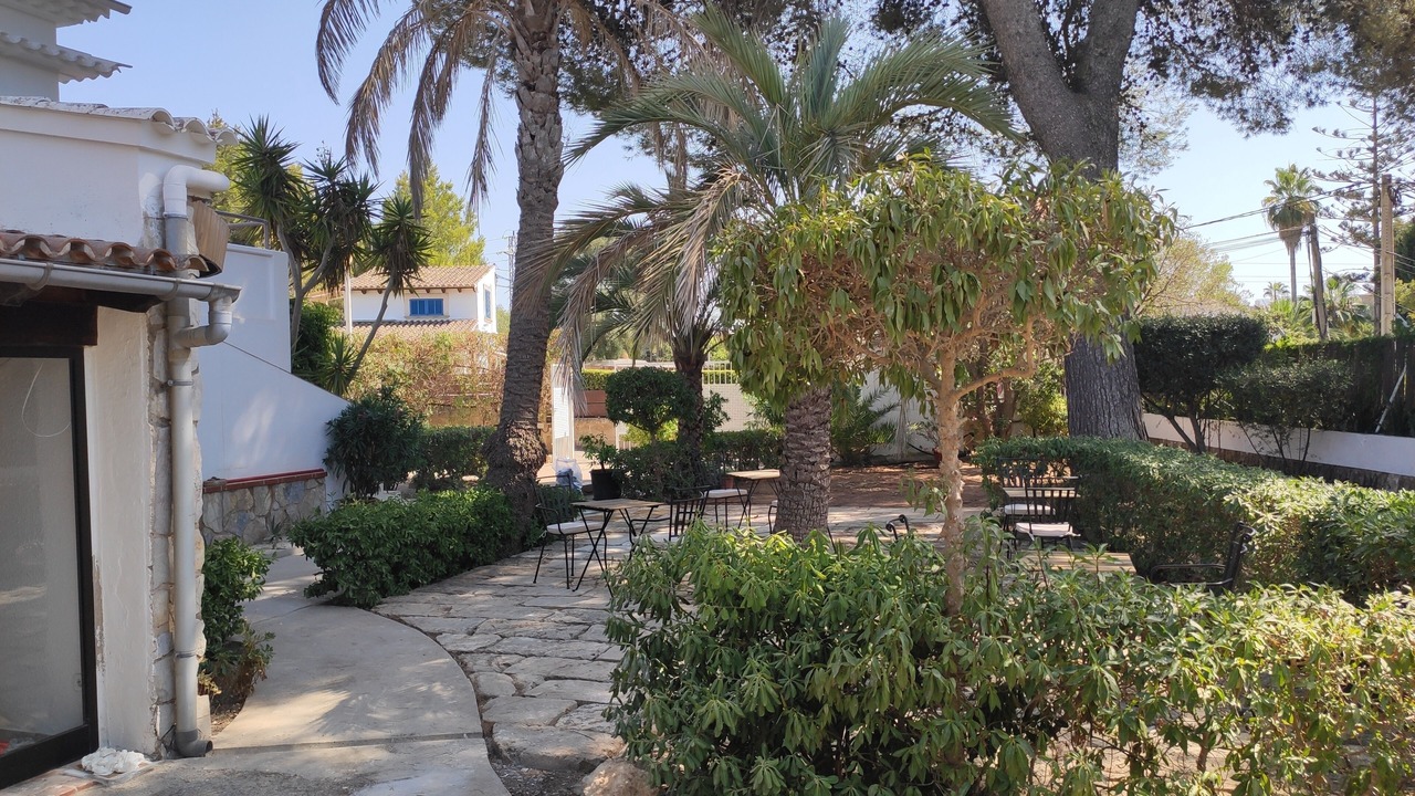 Photo of Others in Alcudia