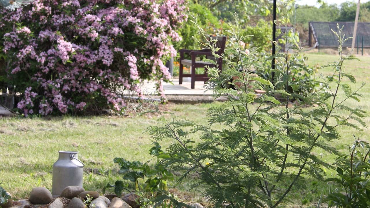 Photo of Outdoor in Madiran