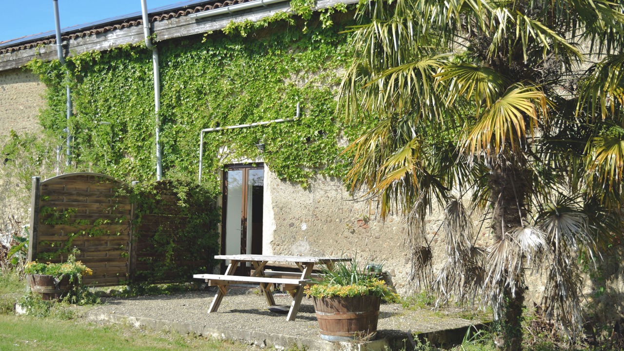 Photo of Outdoor in Madiran