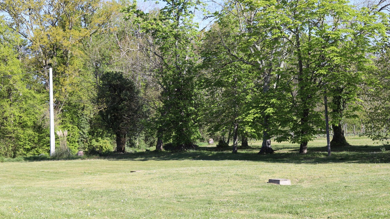 Photo of Outdoor in Madiran