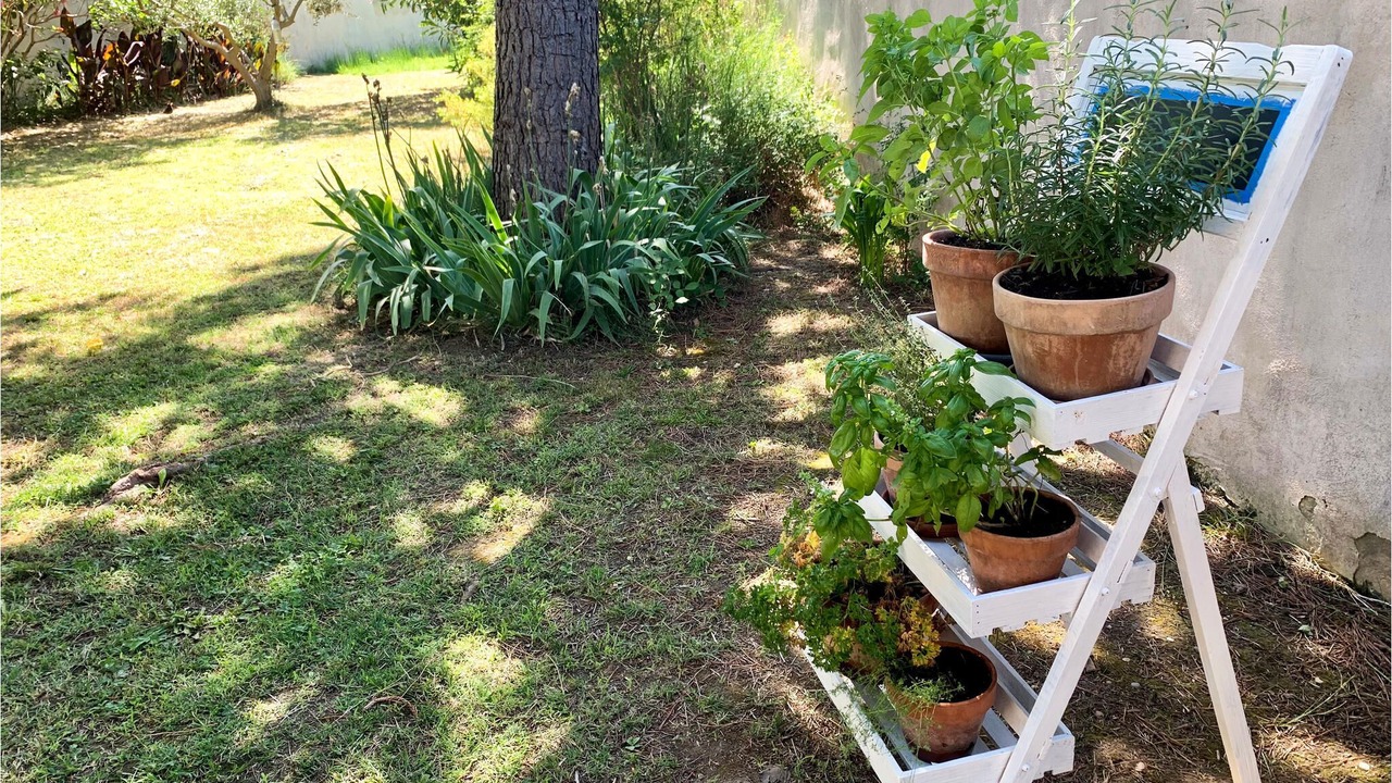 Photo of Outdoor in Rognonas