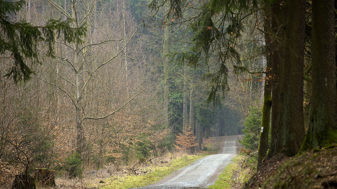 Photo of Outdoor in Glashuetten