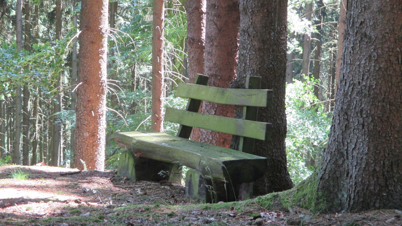 Photo of Outdoor in Glashuetten