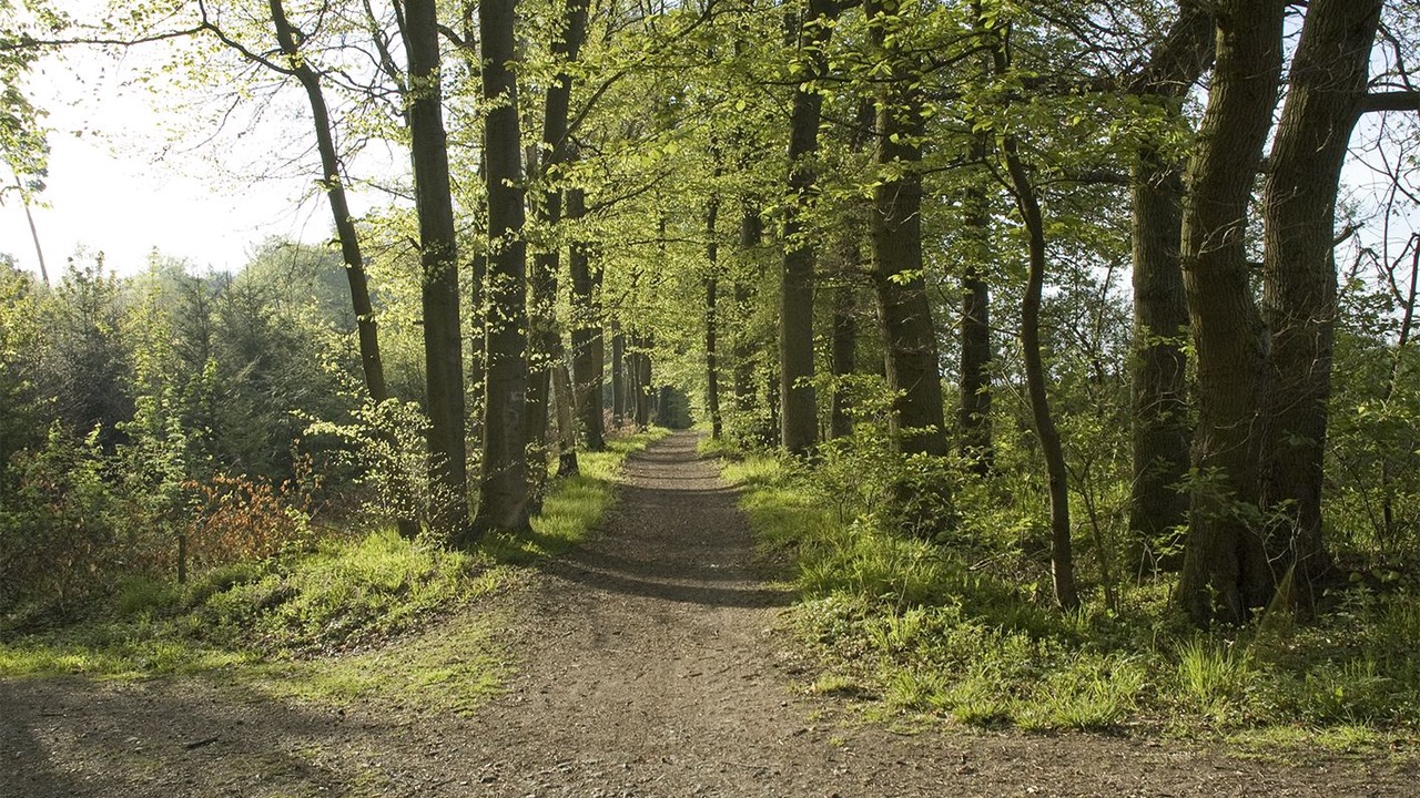 Photo of Outdoor in Glashuetten
