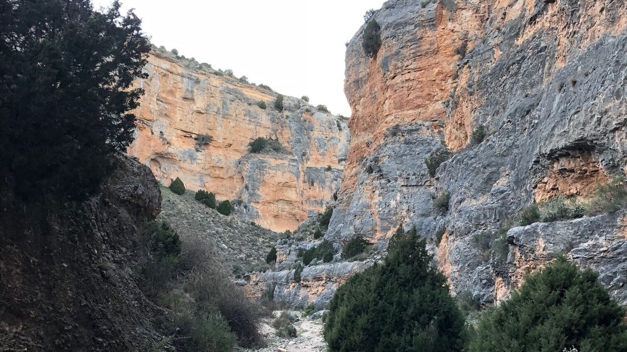 Photo of Outdoor in Jaraba