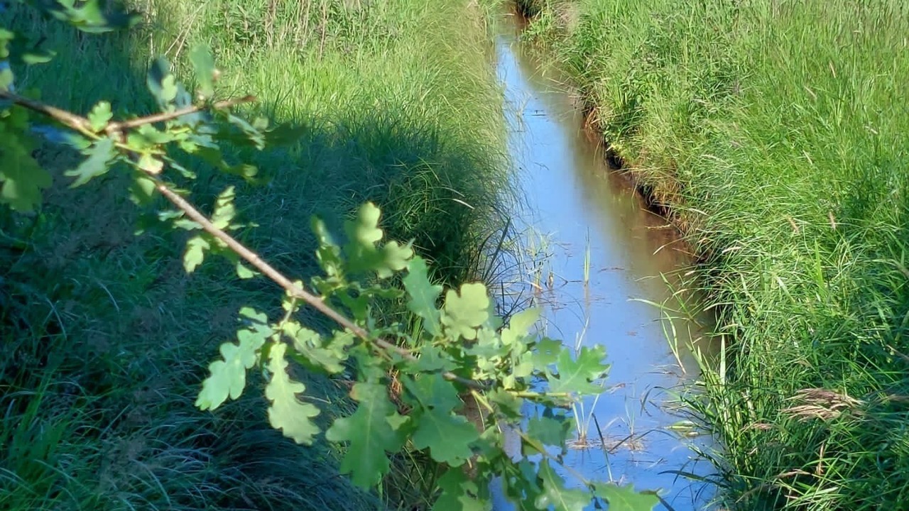 Photo of Outdoor in Everinghausen
