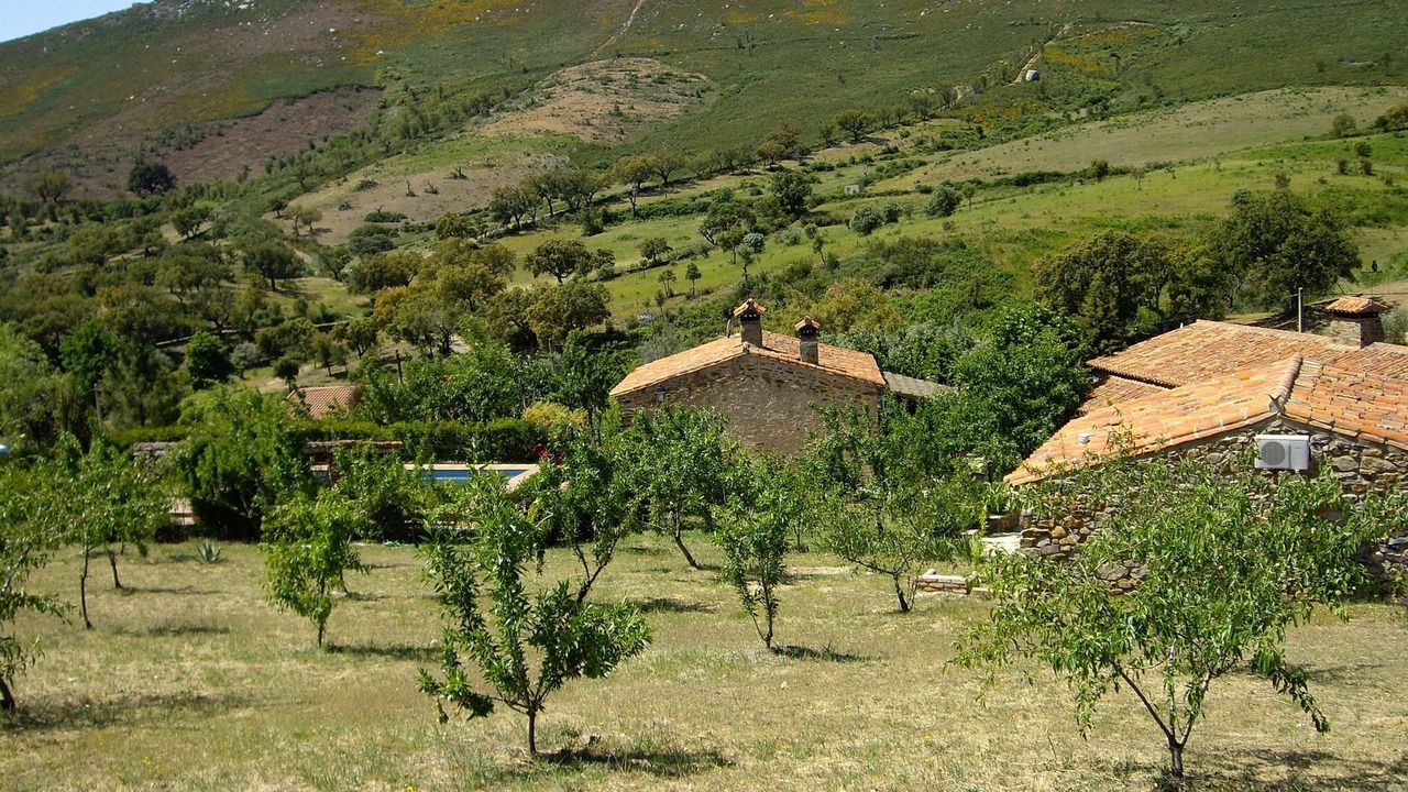 Photo of Outdoor in La Acena de la Borrega