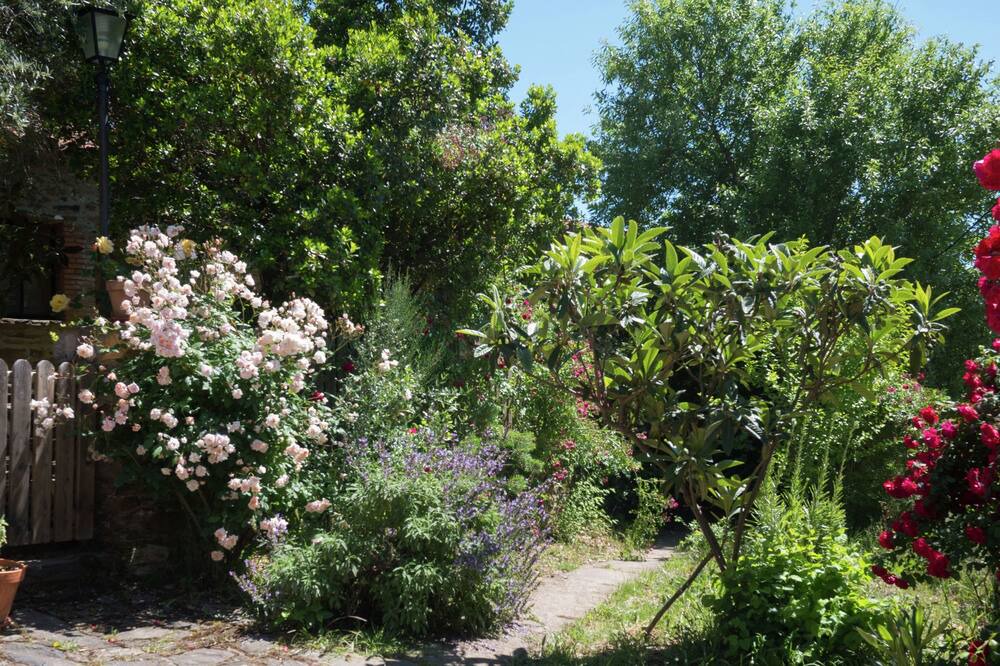 Photo of Outdoor in La Acena de la Borrega