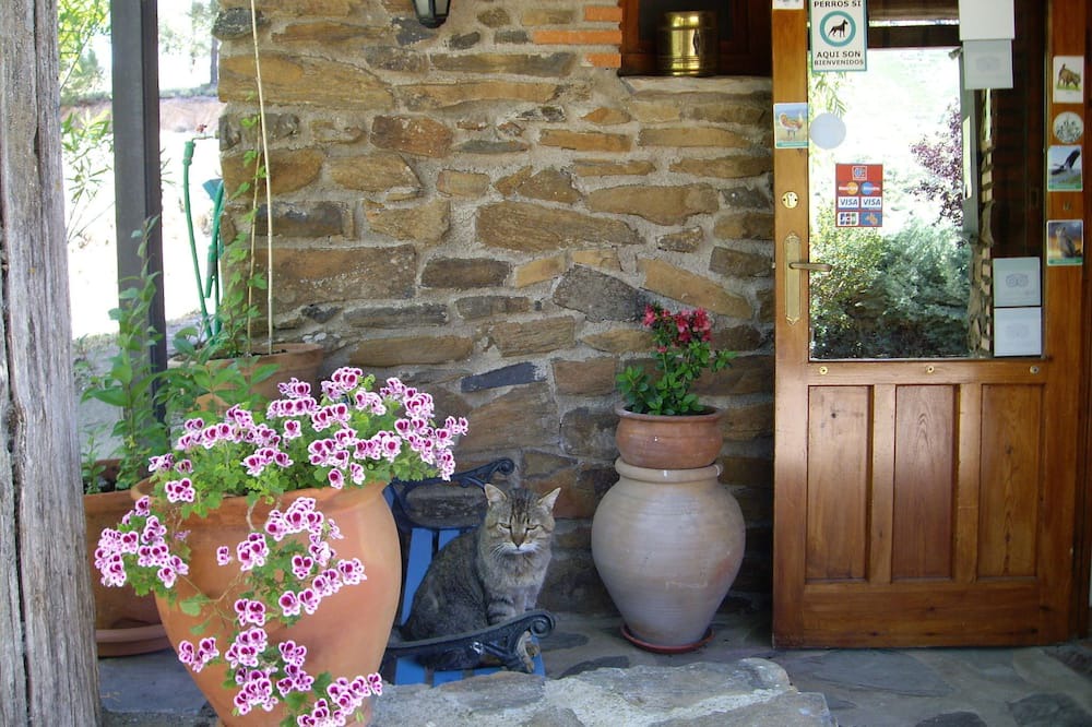 Photo of Others in La Acena de la Borrega