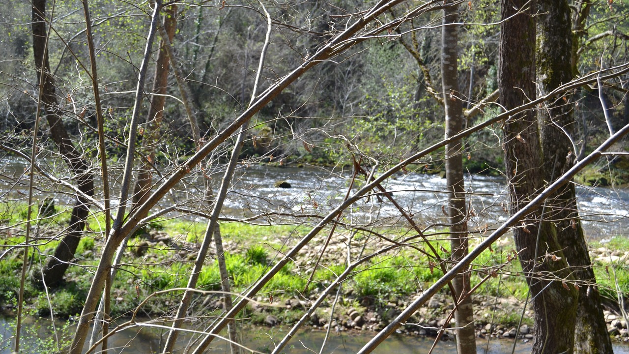 Photo of Outdoor in Herrerias