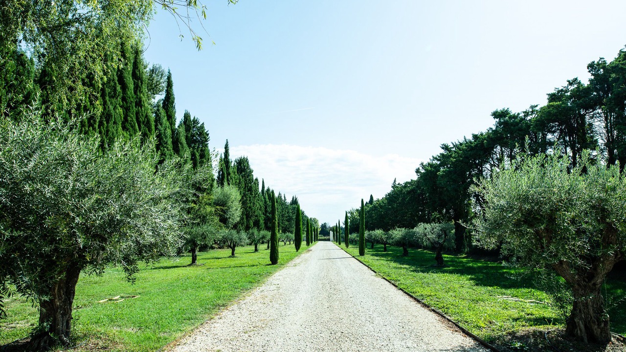 Photo of Outdoor in Paluds de Noves