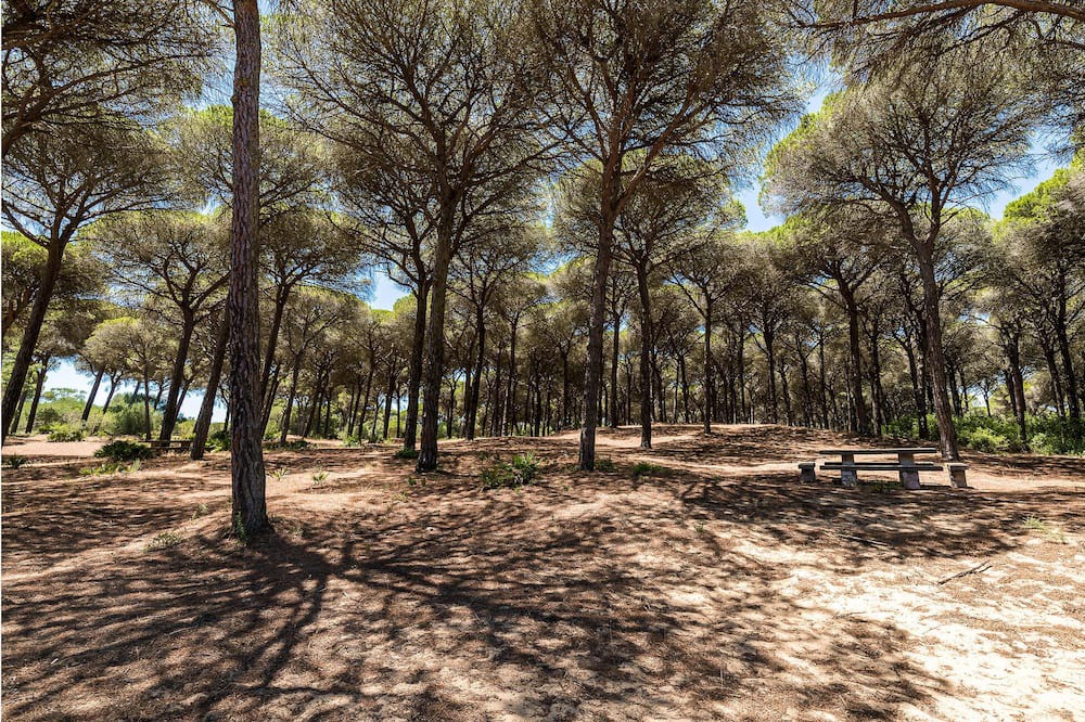 Photo of Others in Brena y Marismas de Barbate Natural Park