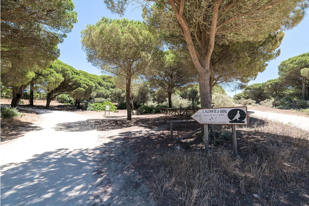 Photo of Others in Brena y Marismas de Barbate Natural Park