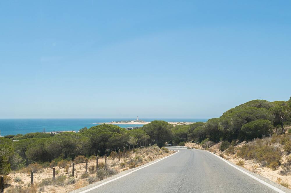 Photo of Others in Brena y Marismas de Barbate Natural Park