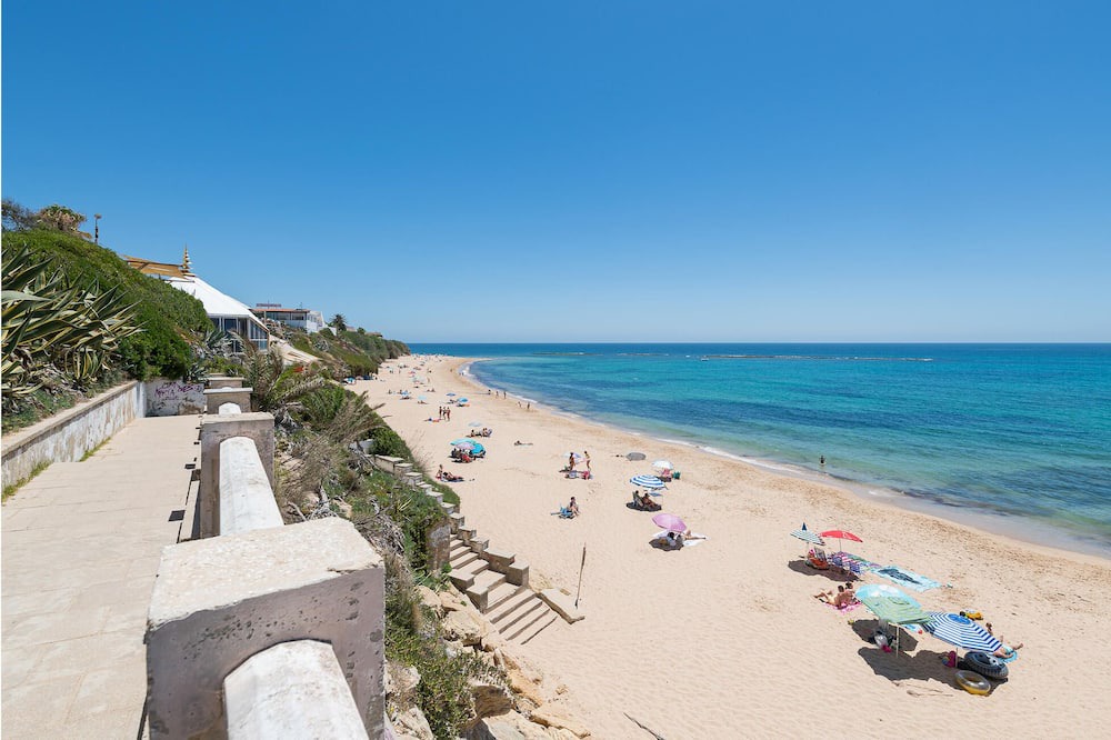 Photo of Others in Brena y Marismas de Barbate Natural Park