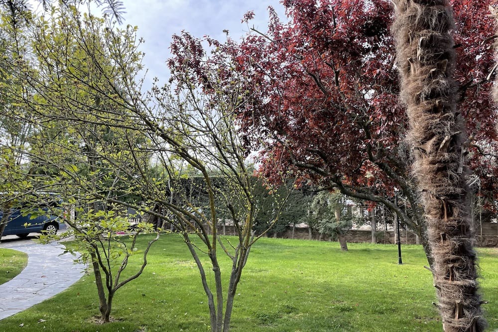 Photo of Outdoor in Chiloeches