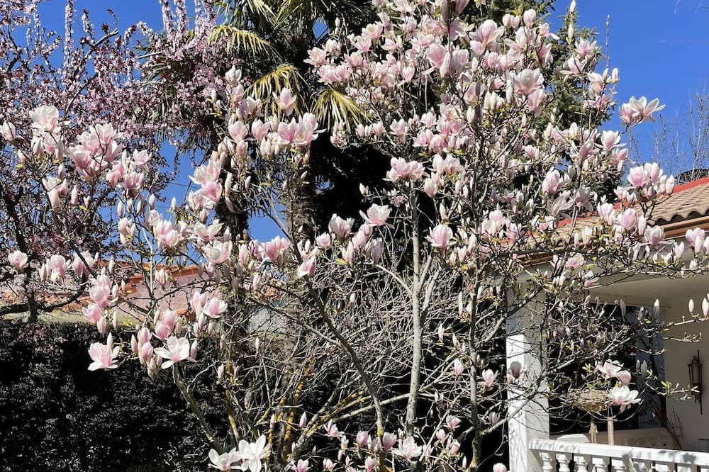 Photo of Outdoor in Chiloeches