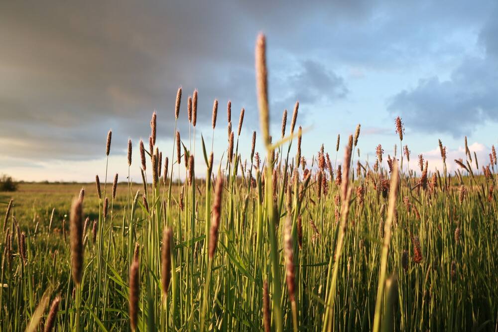 Photo of Others in Nordfriesland