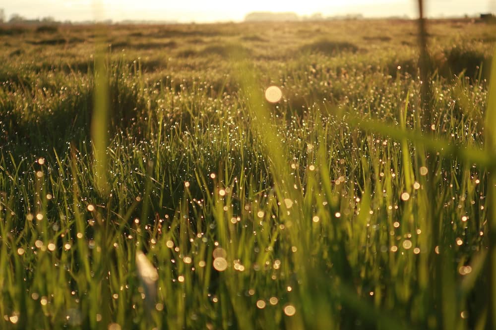 Photo of Outdoor in Nordfriesland