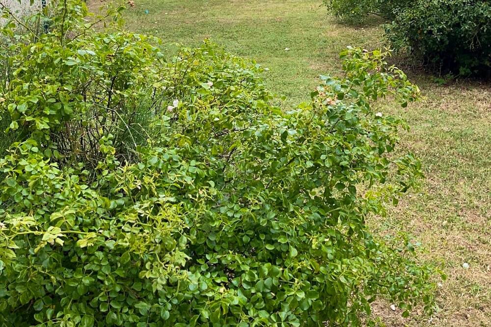 Photo of Outdoor in Saint-Saturnin-les-Avignon
