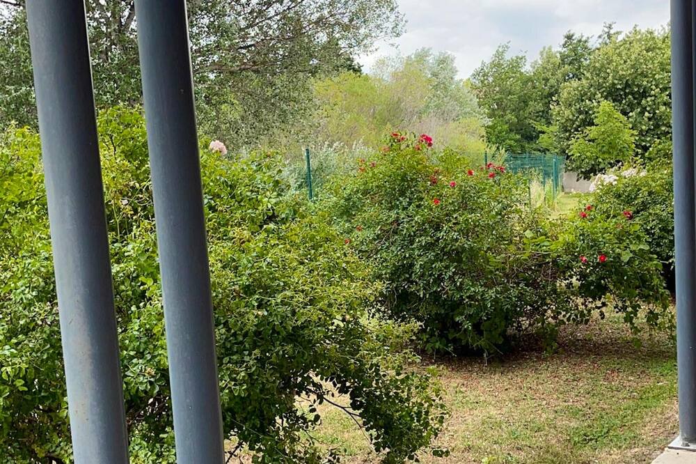 Photo of Outdoor in Saint-Saturnin-les-Avignon
