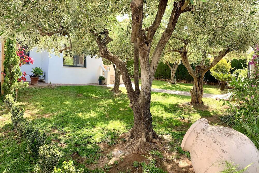 Photo of Outdoor in Castello de la Plana