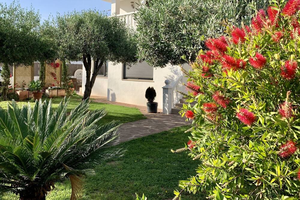 Photo of Outdoor in Castello de la Plana