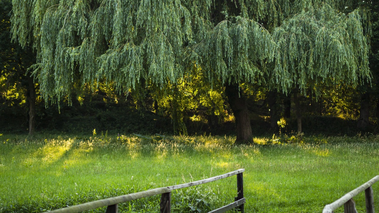 Photo of Outdoor in Dotlingen