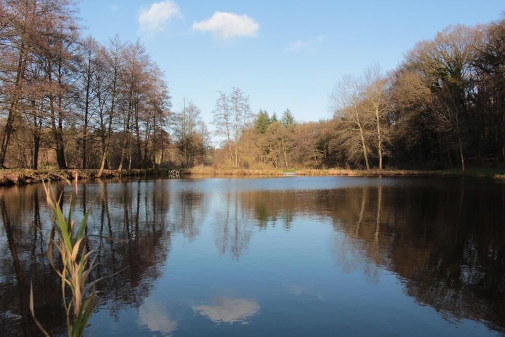 Photo of Outdoor in Dotlingen
