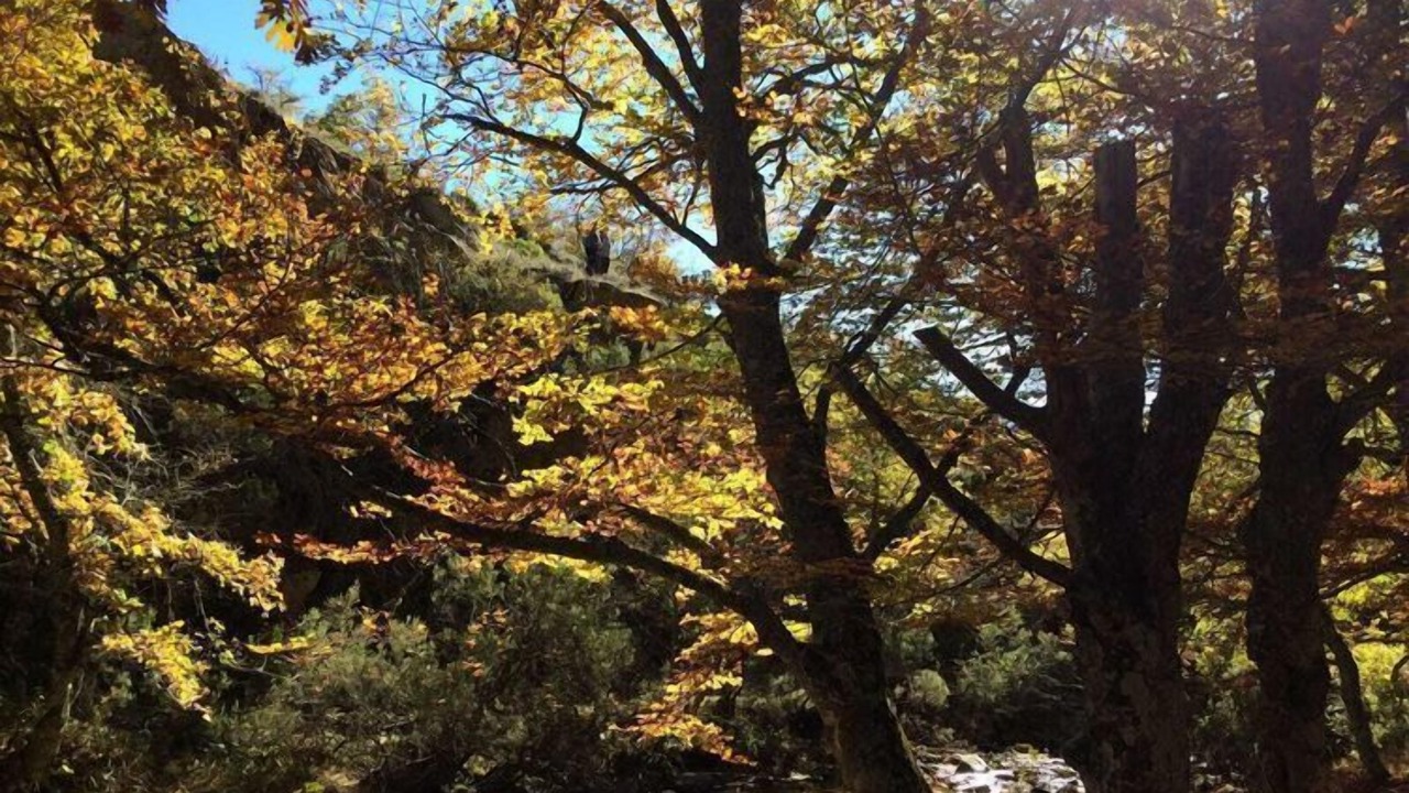 Photo of Outdoor in La Adrada