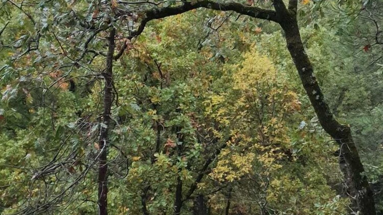 Photo of Outdoor in La Adrada