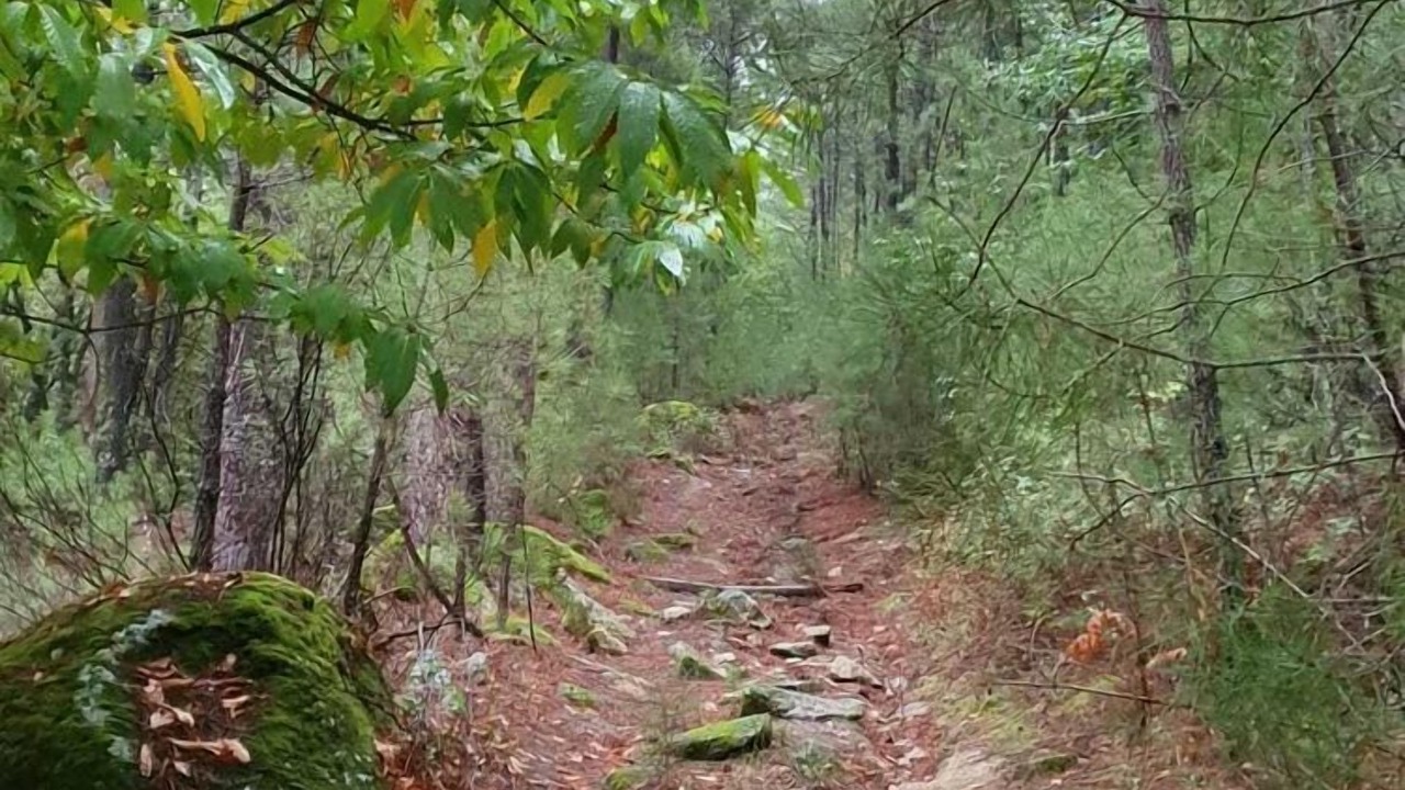 Photo of Outdoor in La Adrada