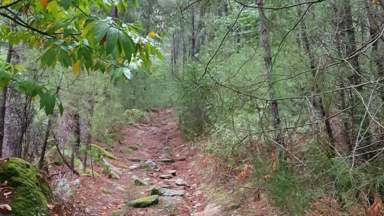 Photo of Outdoor in La Adrada